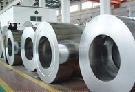 bobine d'acciaio galvanizzate immerse calde di 0.14mm 1.0mm per i congelatori industriali