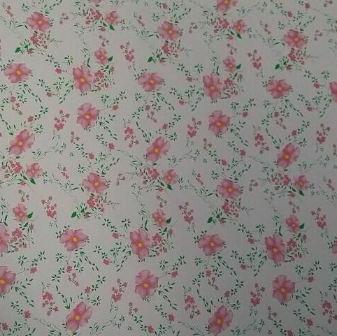 Ral 2169 Z60 90ga pre ha dipinto il gi della lamiera di acciaio colora la lamiera rivestita 3